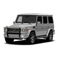 Mercedes G-Class W463 2018-2021